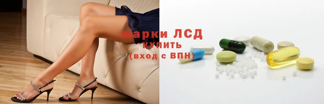 индика Аркадак
