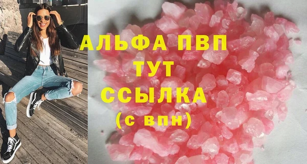 индика Аркадак