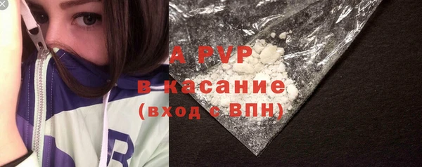 индика Аркадак