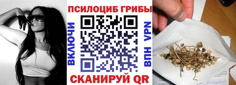 Псилоцибиновые грибы Psilocybe Приморск