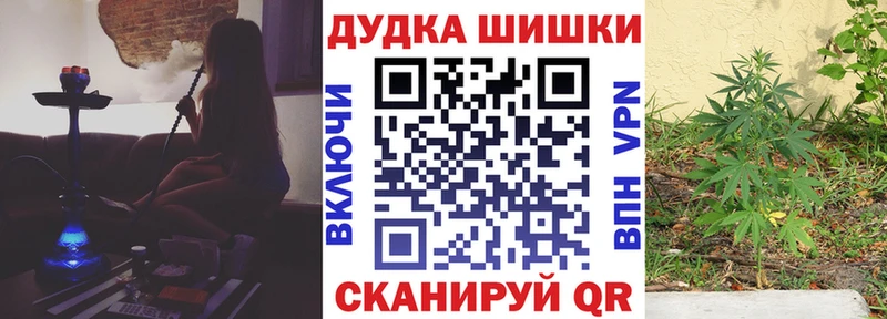 мега вход  наркота  Приморск  МАРИХУАНА White Widow 